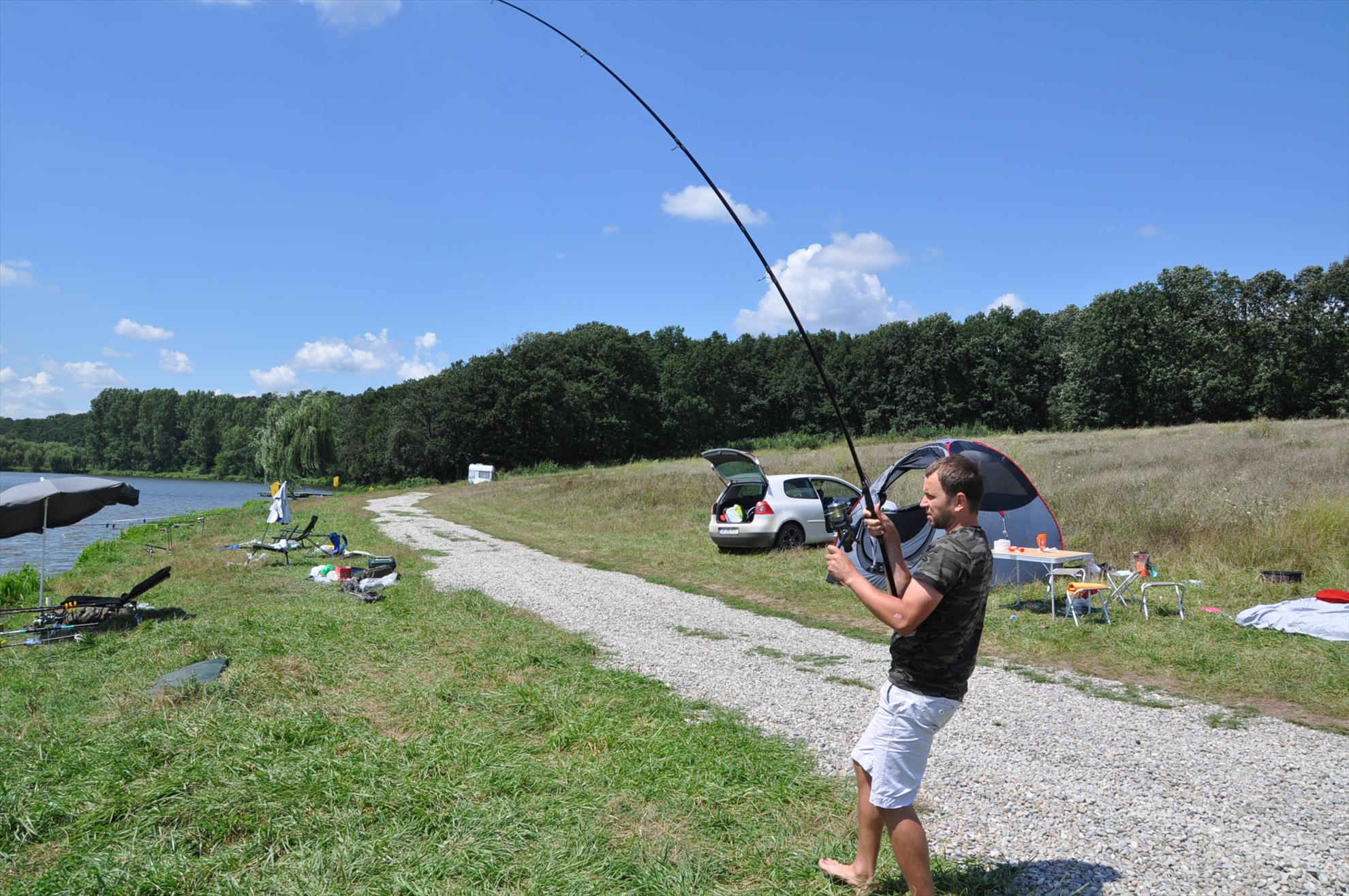 Partide 2010 - 2012 - dsc0061.JPG